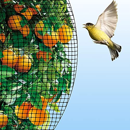 Bird Netting Protective Fencing 