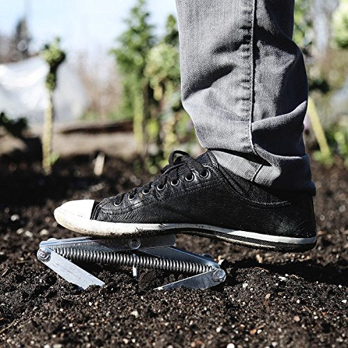  Mole Trap - Effective and Easy-to-Use Solution