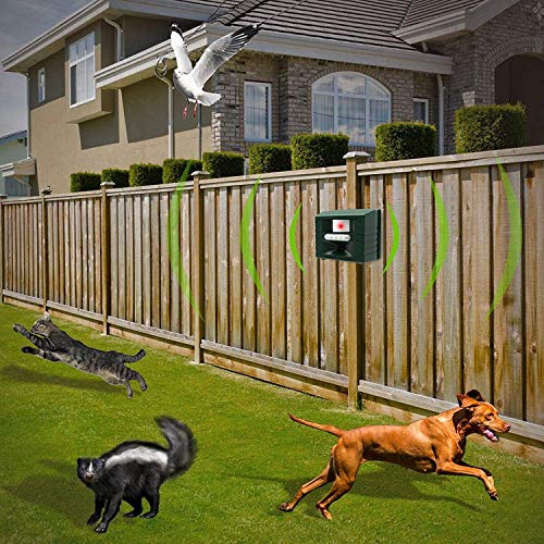 Deter unwanted guests with ease: Yard Sentinel +STROBE & Remote Control Outdoor Ultrasonic Animal Repeller with Motion Sensor