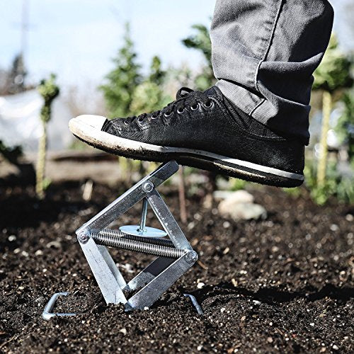  Mole Trap - Effective and Easy-to-Use Solution