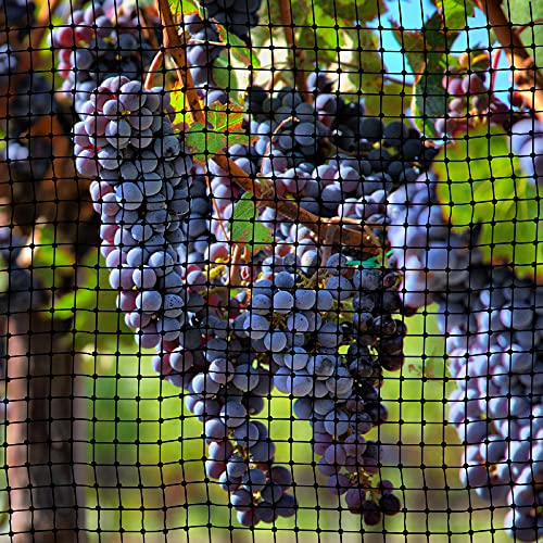 Bird Netting Protective Fencing 